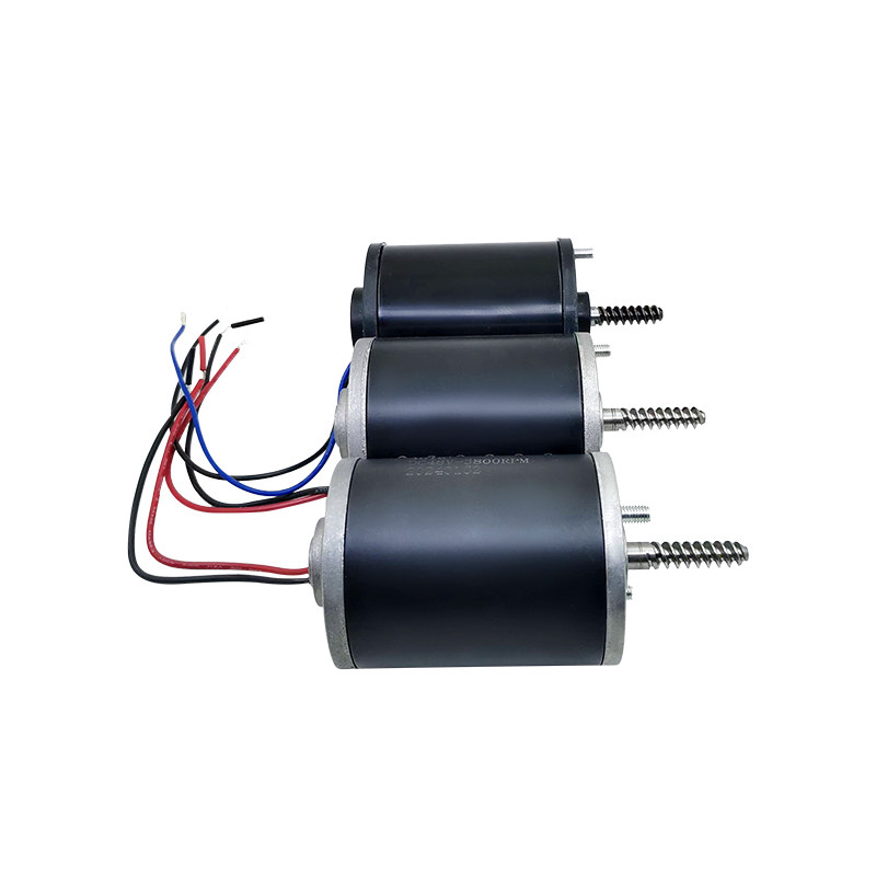 Durable 24V 48V Motor for Claw - đánh giá và giá Crane Claw Motor